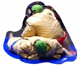 Sumo suits